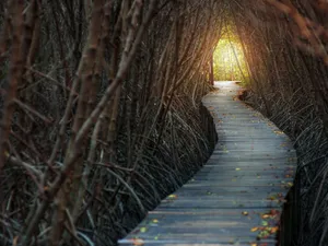 A Tibetan Buddhist Monastery In Dharamshala, India Wallpaper