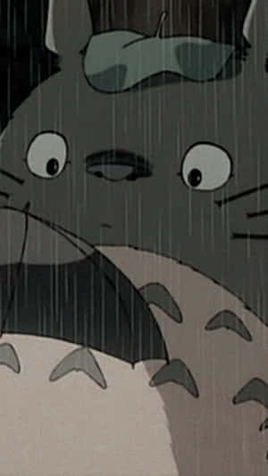 A Totoro In The Rain Wallpaper