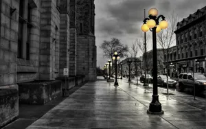 A Tranquil Black And White Nature Scene Wallpaper