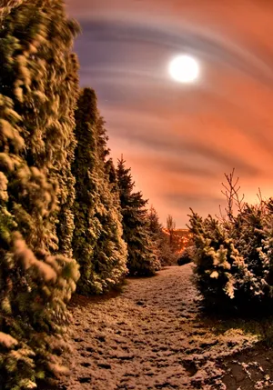 A Tranquil Lake Surrounded By Lush Green Trees In A Beautiful Country Setting Wallpaper