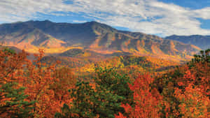 A Tranquil Landscape Of Rolling Hills And Stunning Views Of The Blue Ridge Mountains. Wallpaper