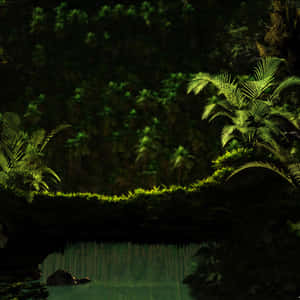 A Tranquil Scene Of A Dark Green Forest Wallpaper