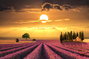 A Tranquil Spring Sunset In The Countryside Wallpaper