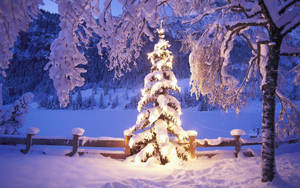 A Tranquil Winter Wonderland In A Christmas Forest Wallpaper