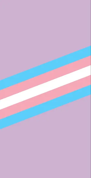 A Transgender Flag With A Blue, Pink And White Stripe Wallpaper