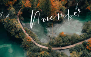 A Tree And A Path With The Words November Wallpaper