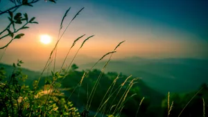 A Tropical Beach On A Sunny Day Wallpaper