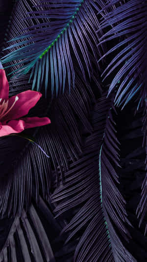 A Tropical Paradise Of Green Aesthetically Designed Palm Leaves Wallpaper