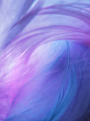 A Unique Color Combination Of Purple And Blue Come Together To Create A Mesmerizing Aesthetic Wallpaper