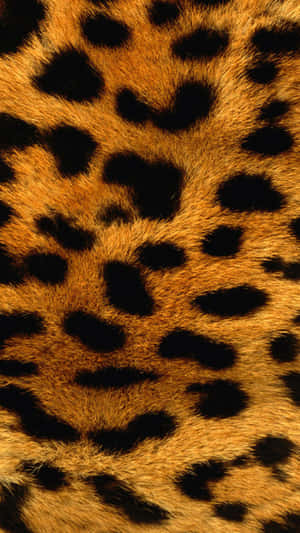 A Unique Iphone X With A Spirited Animal Print Design Wallpaper