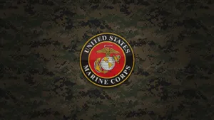 A Usmc Troop Salutes The Flag Wallpaper