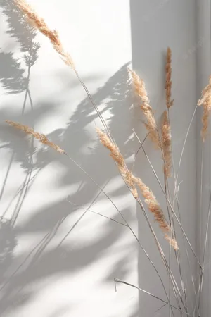 A Vase Of Dried Grass On A White Wall Wallpaper
