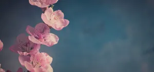 A Vast Landscape With A Winding Dirt Road And Snow Capped Mountain In The Background Wallpaper