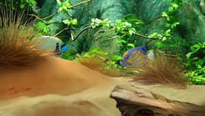 A Vibrant 3d Fish In Crystal Clear Waters Wallpaper