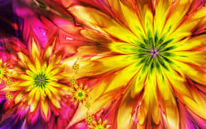 A Vibrant Array Of Colorful Flowers In Full Bloom Wallpaper