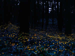 A Vibrant Beach With Turquoise Waters Wallpaper