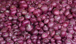 A Vibrant Bunch Of Organic Purple Onions Ready For The Kitchen!