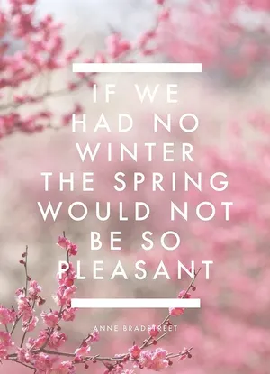 A Vibrant Display Of Blooming Spring Flowers In The Midst Of A Lush Garden. Wallpaper