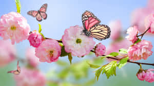 A Vibrant Display Of Spring Butterflies In The Wild Wallpaper