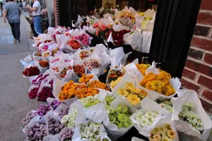 A Vibrant Flower Market Bursting With Color And Fresh Blooms Wallpaper