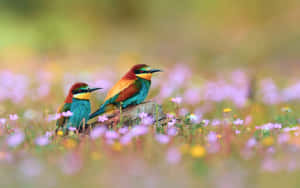 A Vibrant Image Of A Bird Perched Atop A Blossoming Tree Branch During Springtime. Wallpaper