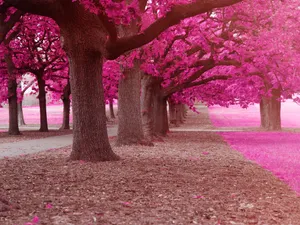 A Vibrant Mix Of Blue, Green And Purple Wallpaper