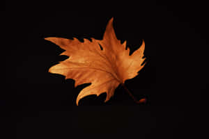 A Vibrant Orange Autumn Leaf Sits Atop A Bed Of Faded Orange, Yellow And Green Fall Foliage. Wallpaper