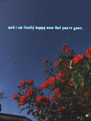 A Vibrant Red Flower In Full Bloom Against A Green Backdrop Wallpaper