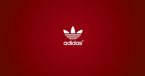 A Vibrant Shade Of Red Wallpaper