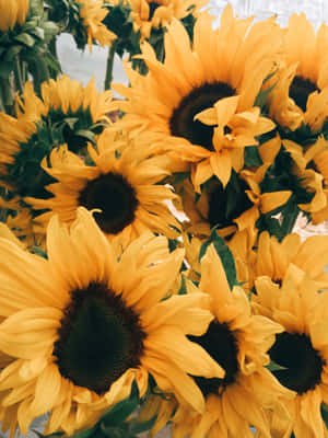 A Vibrant Sunflower In A Field Of Yellow Wallpaper