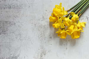 A Vibrant Yellow And Pink Bird With A Long Beak Perched Atop A Low Branch Wallpaper