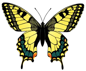 A Vibrant Yellow Butterfly Perched On A Nearby Flower. Wallpaper