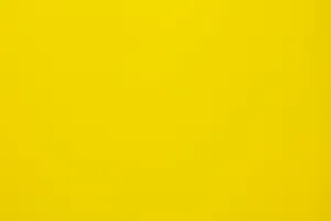 A Vibrant Yellow Tulip Field Under A Clear Blue Sky Wallpaper