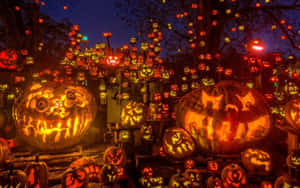 A View Of A Beautiful Autumn Night Illuminated By An Orange Pumpkin Wallpaper