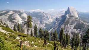 A View Of A Mountain Range With Trees And Mountains Wallpaper