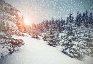 A View Of Christmas Snow In The Wintertime Wallpaper