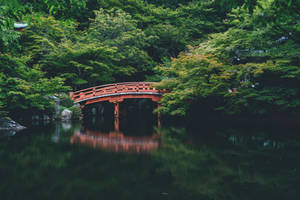 A View Of The Beautiful Red Bridge In Japan Wallpaper