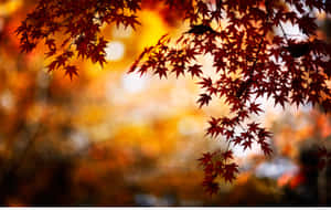 A View Of Traditional Urns In An Autumn Landscape Wallpaper