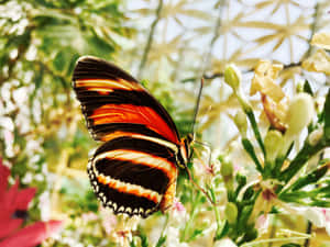 A Vivid Yellow Butterfly Against A Dark Green Background Wallpaper