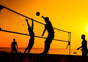 A Volleyball Net Wallpaper