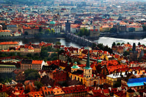 A Walk To Prague Castle Wallpaper