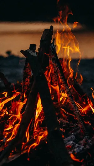 A Warm And Cozy Fall Bonfire Surrounded By Colorful Autumn Leaves. Wallpaper