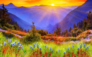 A Warm Spring Sunrise Over A Lush Green Meadow Wallpaper