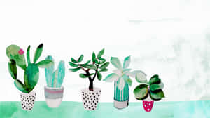 A Watercolor Painting Of Cactus Plants In Pots Wallpaper