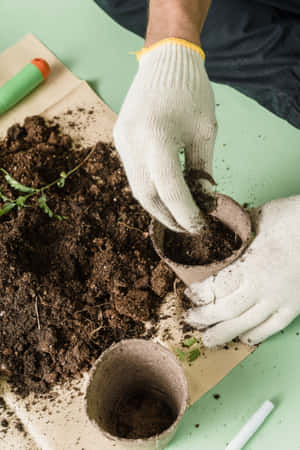 A Well-maintained Compost Pile In A Garden Setting Wallpaper