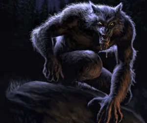 A Werewolf Lurking In The Shadows Of The Forest Wallpaper