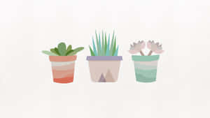 A Whimsical Yet Calming Aesthetic Of A Potted Plant. Wallpaper