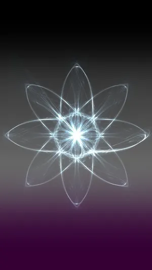 A White Flower With A Light Shining Through It Wallpaper