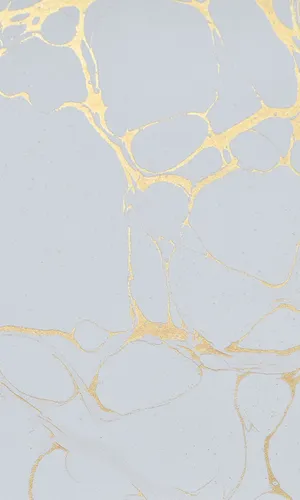 A White Marble With Gold And Silver Paint Wallpaper