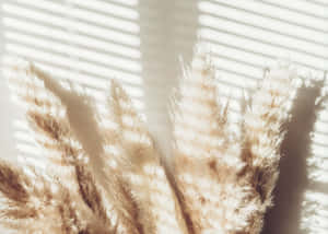 A White Window With A Bunch Of Dried Grasses Wallpaper